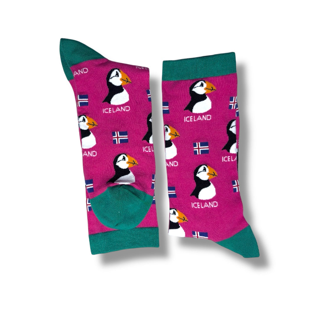Dodo socks 🦤